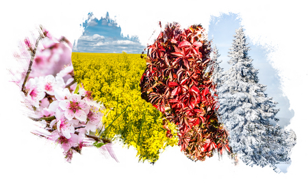 Four season collage - grungy spatters isolated on white background. All used photos belong to me.の写真素材