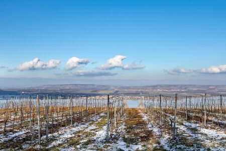 Amazing moravian winter countryside with vineyards, dam and villages under blue sky with clouds - Czech Republic, Europeの写真素材