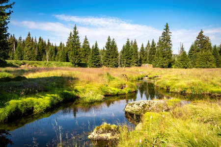 Beautiful scenery of summer landscape with creek meanders - Jizera Mountains, Czech Republic, Europe