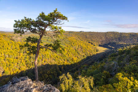Rocky viewpoint over valley and surrounding autumn forests under blue sky - Czech Republic, Europeの写真素材