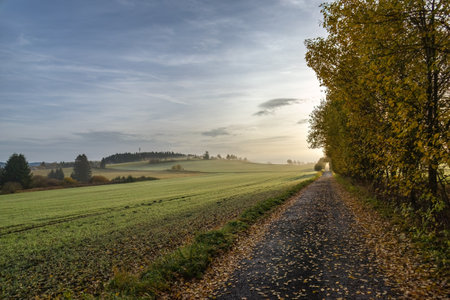 Road through amazing autumn sunrise - countryside with green meadows and autumn colored trees under...