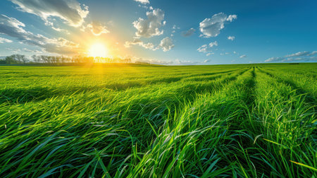 Vast open green fields with tall grass swaying in the breeze, distant tree line on the horizonの素材