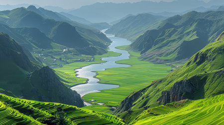 Vibrant green rice fields with narrow water channels glistening under a tropical afternoon sunの素材
