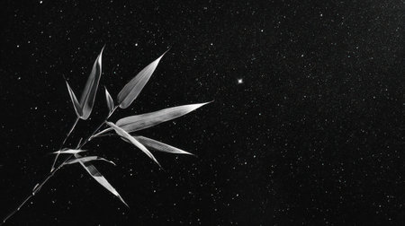 Minimalist composition: Single bamboo leaf pointing toward Vega star, negative space filled with subtle starfieldの素材