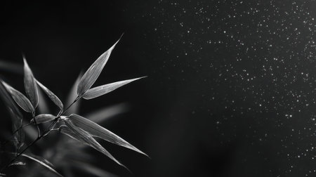 Minimalist composition: Single bamboo leaf pointing toward Vega star, negative space filled with subtle starfieldの素材