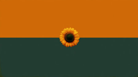 Sunflower on Orange and Green Color Blockの素材