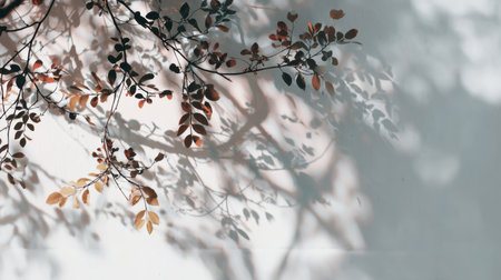 Blurred silhouette of tree branches and leaves on white wall, afternoon sun glow, dreamy and minimalist shadow overlay aestheticの素材
