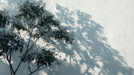 Artistic play of light and shadow with layered tree foliage silhouettes across white wall, realistic natural summer lightingの素材