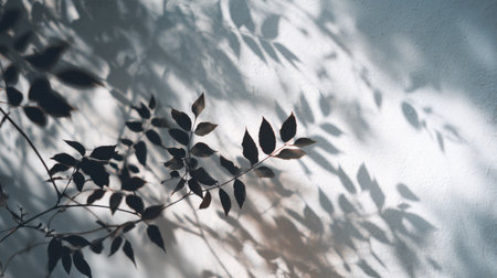 Blurred silhouette of tree branches and leaves on white wall, afternoon sun glow, dreamy and minimalist shadow overlay aestheticの素材