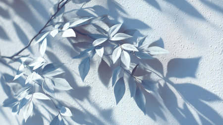 Morning light casting tree leaves shadow patterns on white surface, gentle depth and texture, perfect for elegant design backgroundsの素材