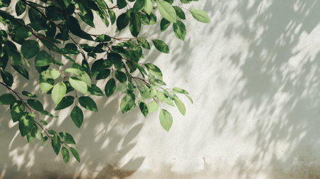Realistic sunlight casting soft tree leaves shadows on a clean white wall, gentle summer breeze effect, calm minimalist mood, warm daylight tones, natural overlay textureの素材