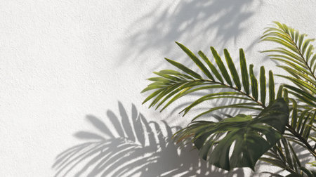 Palm and monstera leaf shadows overlapping on bright white wall, tropical natural vibe, sunny daylight minimal backgroundの素材