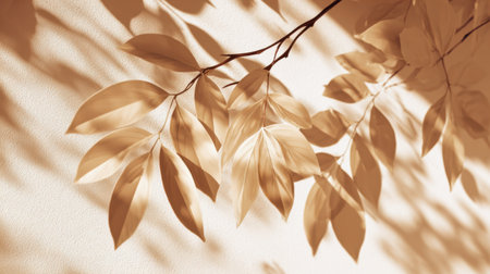 Realistic sunlight overlay of leafy shadows on white background, warm tone daylight and gentle contrast, serene natural texture for design backgroundの素材