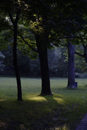 Mont-Royal Parkの写真素材