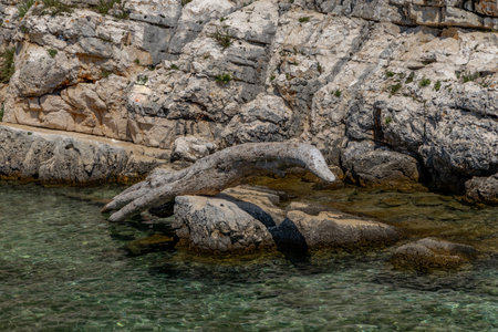 Mikule Drazic beach Peninsula Kamenjak Pula in Croatiaの写真素材