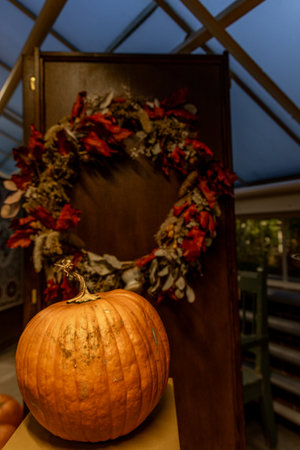 Fun Halloween pumpkin decor on the table, creative decorations, Unique decorations for Halloween, ripe All Saints' Day pumpkinsの写真素材