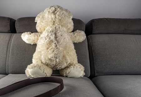 Sad bear mascot domestic violence against children abuse of minors at homeの写真素材