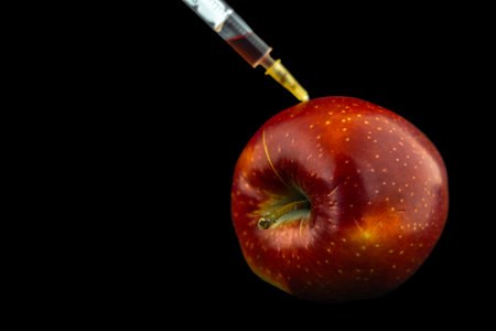 Injecting antibiotics into food genetically modified food GMP red apple grown artificiallyの写真素材