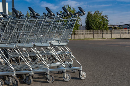 Preparing for shopping, shopping cart, packing purchases into a metal shopping cart