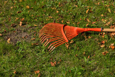 Tidying up the garden, raking dry brown leaves in autumn and spring, red rakes for raking on the plotの写真素材