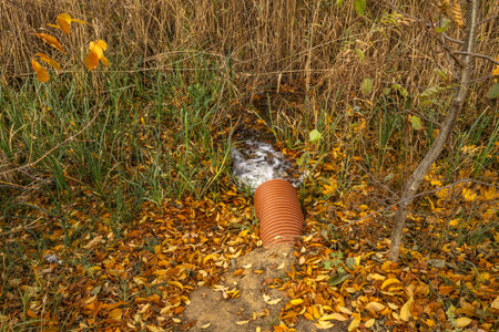 Illegal discharge of sewage, waste and feces into the lakeの写真素材