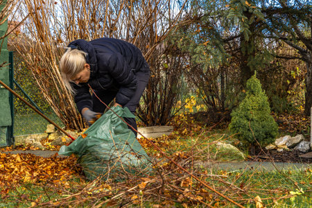 Woman is cleaning in the garden, raking leaves