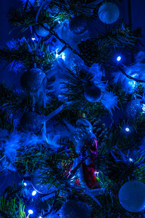 Decorative lights on the Christmas tree illuminate the dim room in the evening christmas in Polandの写真素材