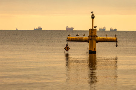 Gdynia Orlowo, tourist attractions in Tricity in Pomerania, birds in the middle of the Baltic Sea