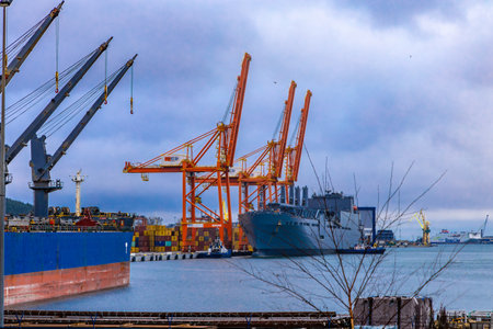 Tall cranes in the port, unloading goods from containers from shipsの写真素材