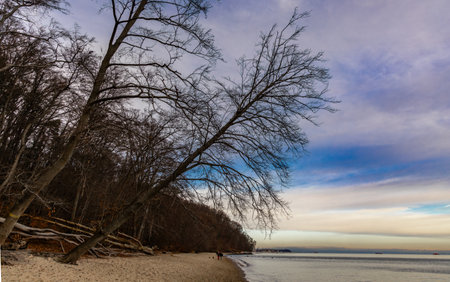 Wild nature of Gdynia Orlowo, calm Baltic Sea, high cliff, old metal structures on the beach Polandの写真素材