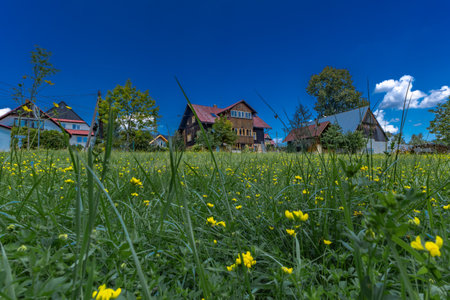 Old houses against the blue sky, a green meadow with yellow flowersの写真素材