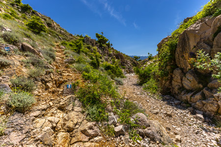 Hiking trail from Baska to Vela Luka beach on the island of KRK, crossing the great gorge of Stamp Vrzenicaの写真素材