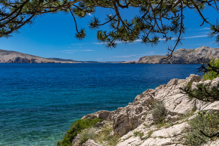 Empty Jablanova beach before the season, green wild Mediterranean vegetation, azure water in the Adriatic Sea on the island of KRK in Croatiaの写真素材
