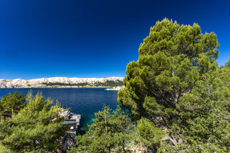 Jablanova Beach on the island of KRK in Croatia, blue trail leading to an empty pebble beach, wild nature and lush Mediterranean vegetation, panorama overlooking the Adriatic Sea,の写真素材