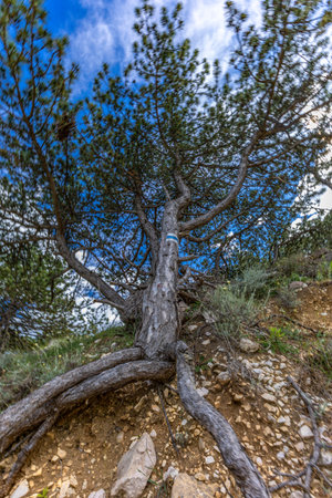 Hiking trail leading from the beach in Baska to the Bag mountain, city panorama seen from above,...