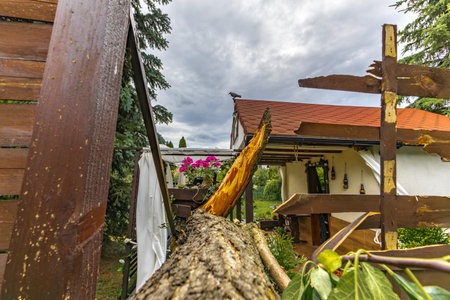 Broken fruit tree during a storm in the garden, lightning struck, ignited and broke a tree under the house, shattered fence, destroyed fenceの写真素材