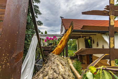 Broken fruit tree during a storm in the garden, lightning struck, ignited and broke a tree under the house, shattered fence, destroyed fenceの写真素材