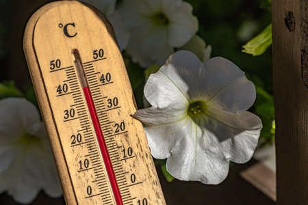Wooden mercury thermometer, measuring temperature in the orchard, thermometer hanging in the garden indicates high temperature in summerの写真素材