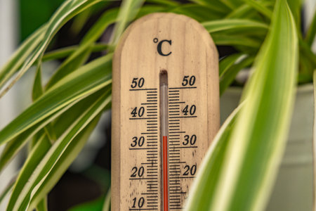 Measuring the temperature in the shade in the garden in summer, the thermometer shows a very high temperature outside in the garden, a heat waveの写真素材