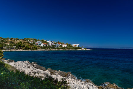 Mediterranean vegetation, road leading to Tatinje beach in Croatia, Ciovo island, tourist attraction...