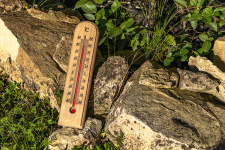 A wooden mercury thermometer shows a very high temperature in the garden, withered garden plants,...