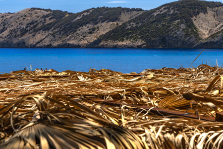 Paradise Beach on the island of Rab in Croatia in Lopar, straw umbrella, no people summerの写真素材
