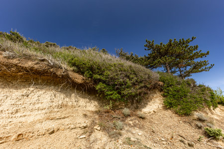 Sand dunes on the island of Rab, shallow water near the shore, shifting dunes, Rab, Lopar, Croatiaの写真素材
