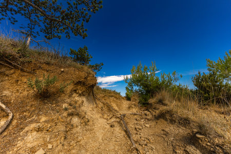 Sand dunes on the island of Rab, shallow water near the shore, shifting dunes, Rab, Croatia