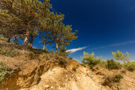Sand dunes on the island of Rab, shallow water near the shore, shifting dunes, Rab, Lopar, Croatia