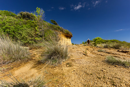 Sand dunes on the island of Rab, shallow water near the shore, shifting dunes, Rab, Lopar, Croatia
