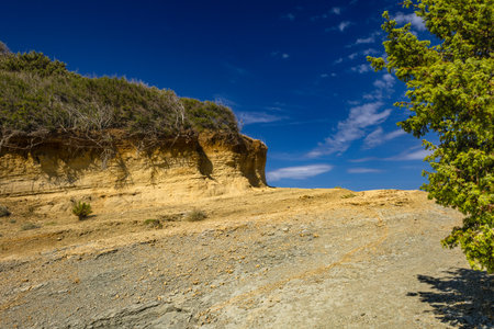 Sand dunes, shifting sands, and wild Mediterranean vegetation on Stracic Beach on the island of Rab,...