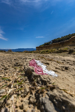 Azure water in the Adriatic Sea, rocky coast of the island of Rab, panorama of the island, Strucic beachの写真素材