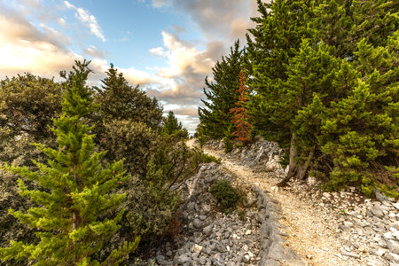 Paradise Beach on the island of Rab, a viewpoint on the mountain trail, Premuzji Trail,の写真素材