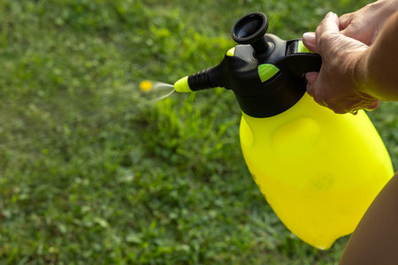 Spraying plant protection preparation in the garden, woman spraying lawn with fertilizer, yellow pressurized containerの写真素材
